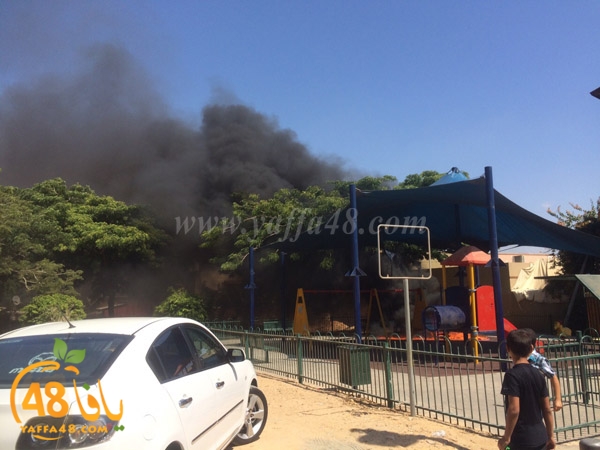 firealn jaami (1).jpg